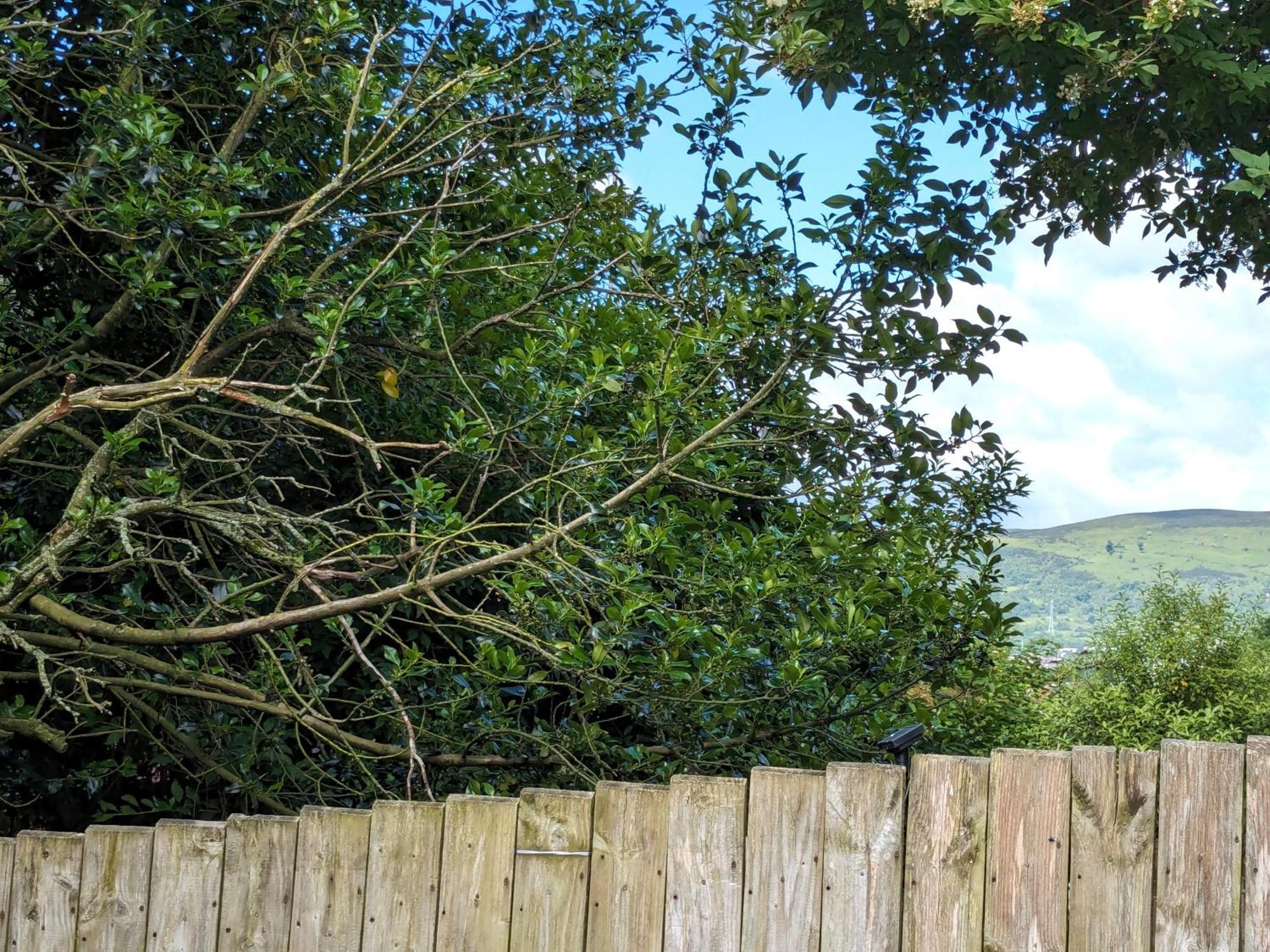 Heart Of Belfast With Private Garden Villa Luaran gambar